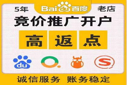 sem推广竞价策略的五大要点及成功案例解读
